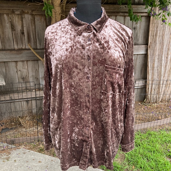 Belle by Kim Gravel Tops - Belle by Kim Gravel Velvet Button Down Shirt - Brown